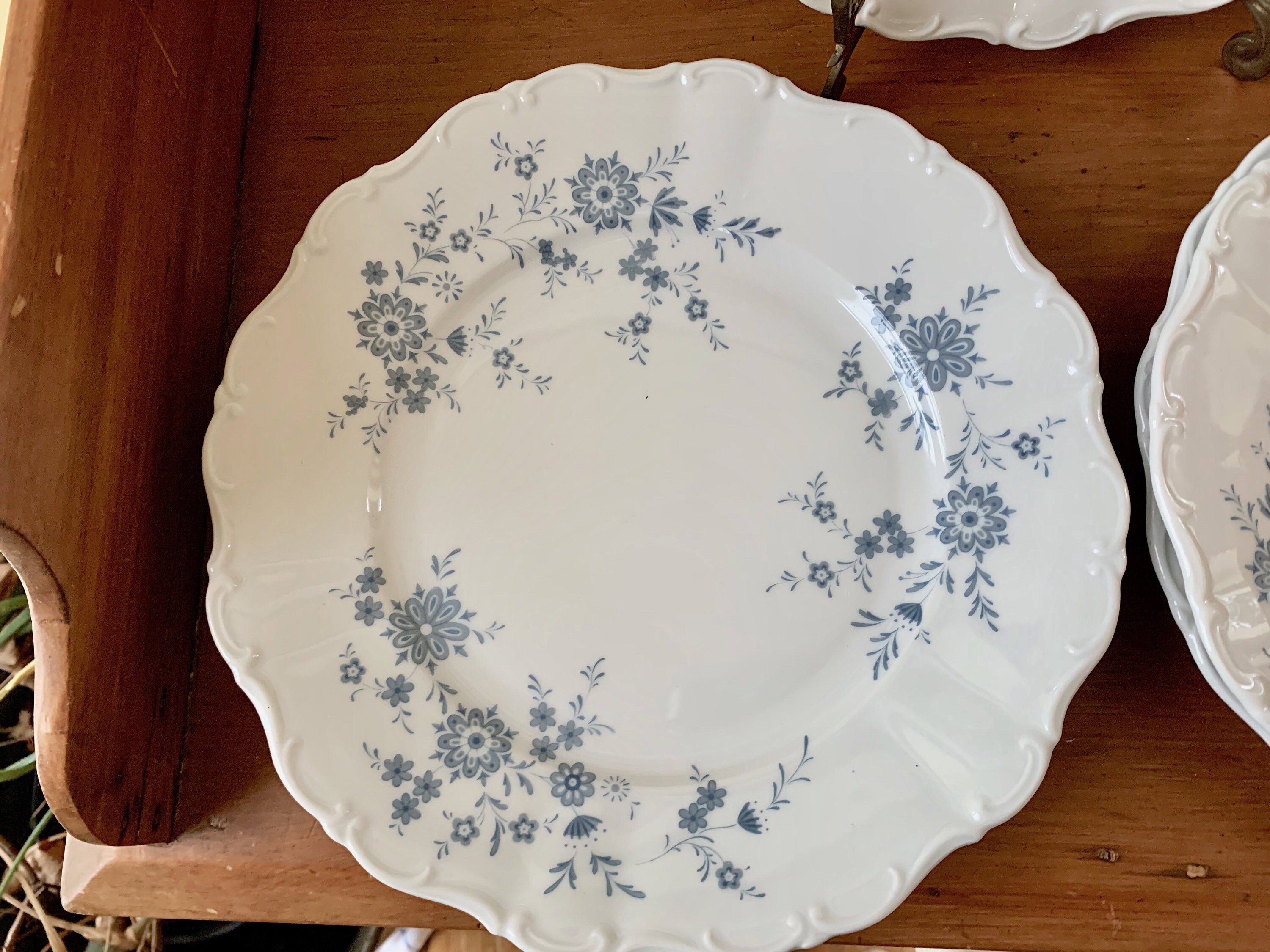 Christina Porcelain Dinner Plate, Bavarian Blue, Scalloped Blue and