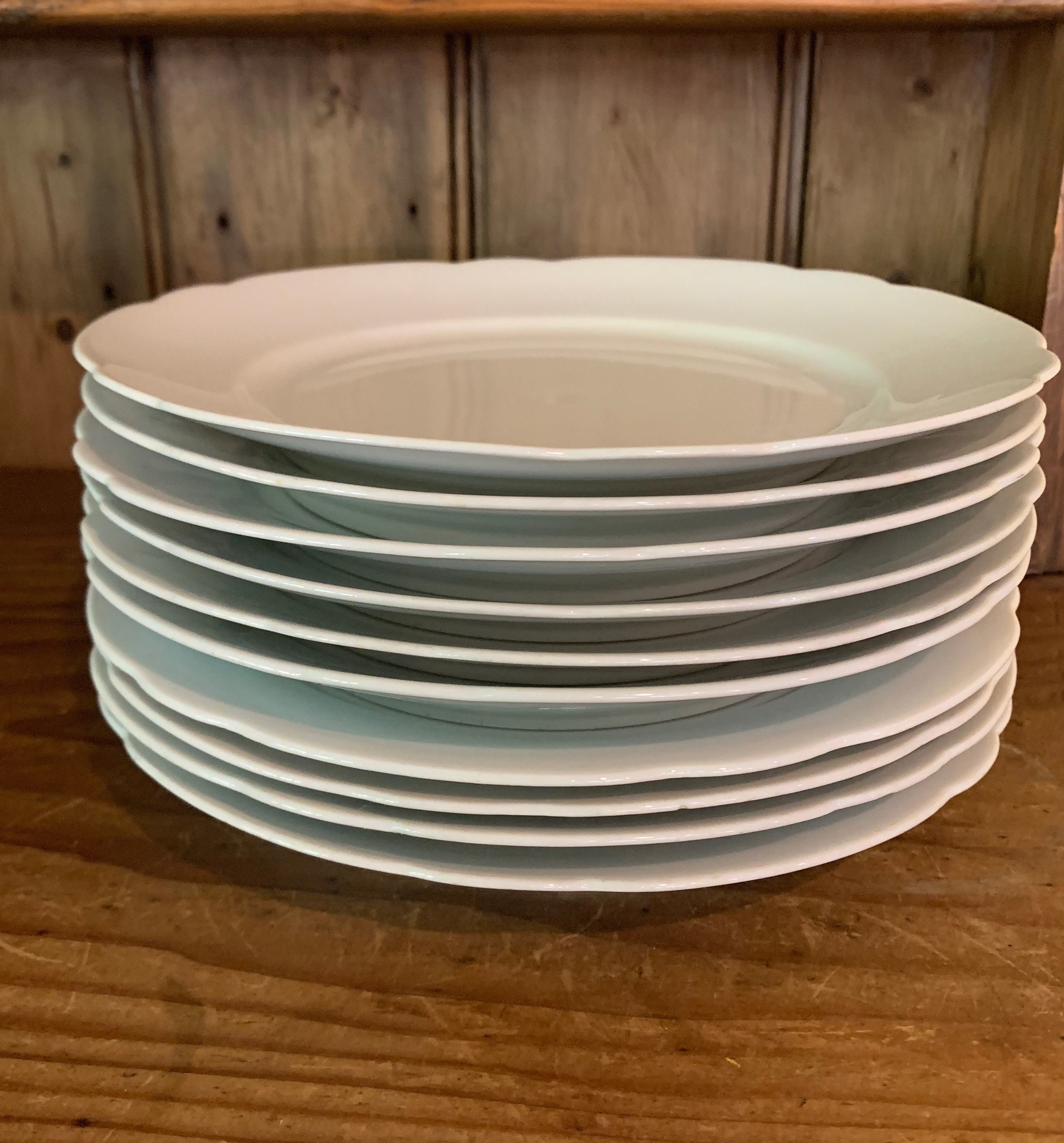 Bavarian White Porcelain Plates, Schiending Porcelain Scalloped 9.5