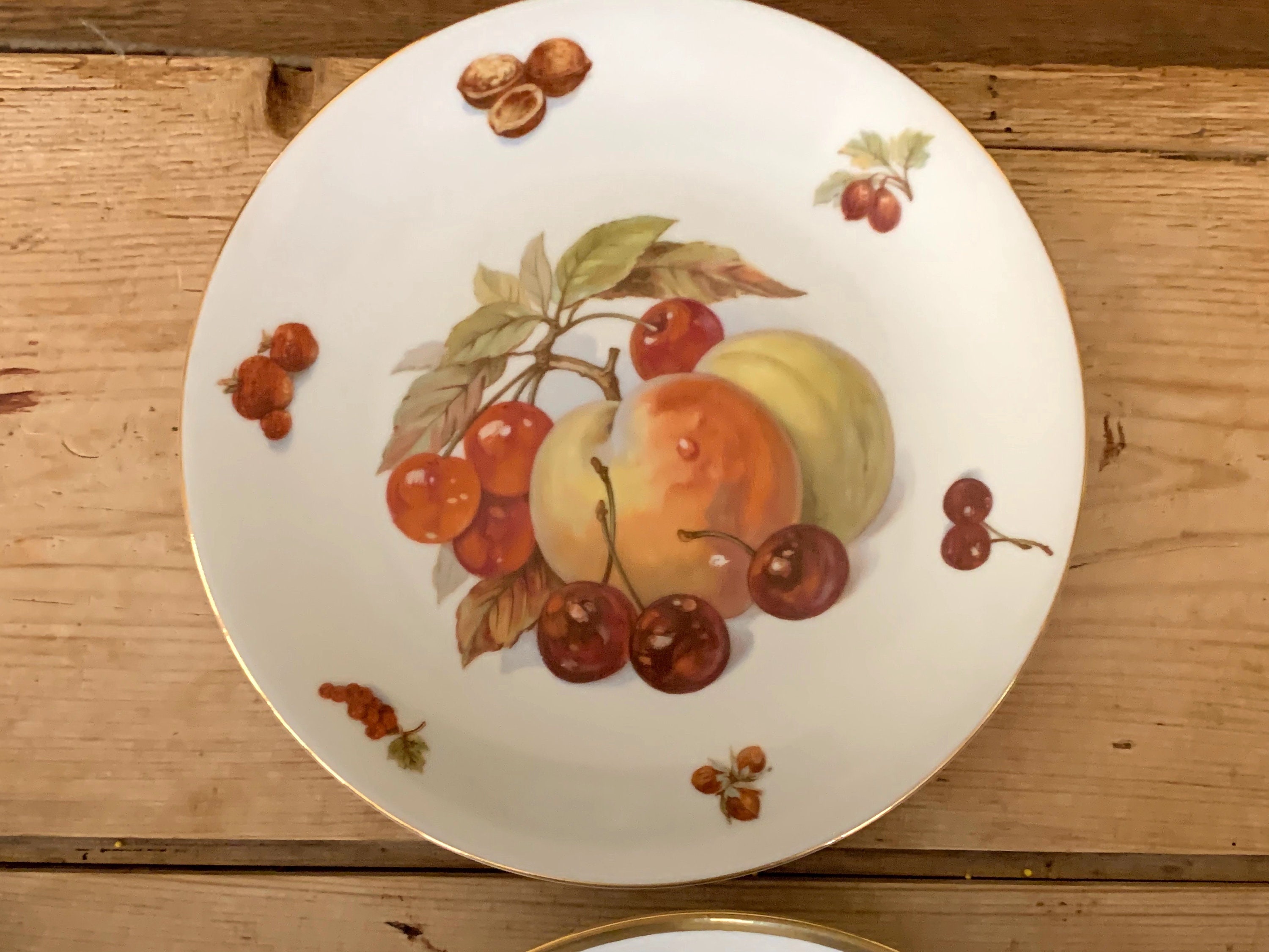 Bavarian Porcelain Fruit Plates, Set of 5 Hand Painted Fruit Plates