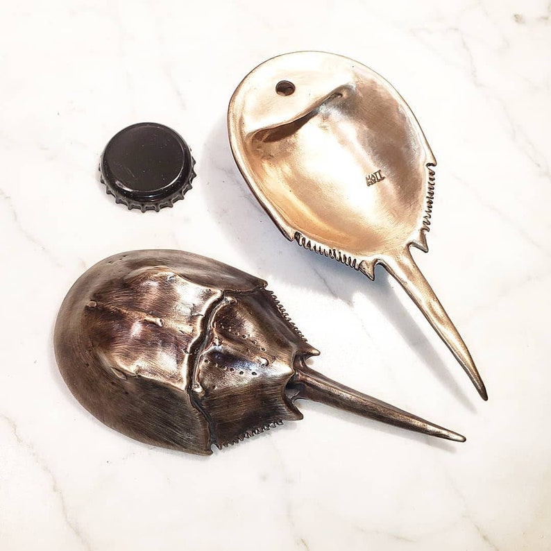 Bronze horseshoe crab bottle opener. Etsy