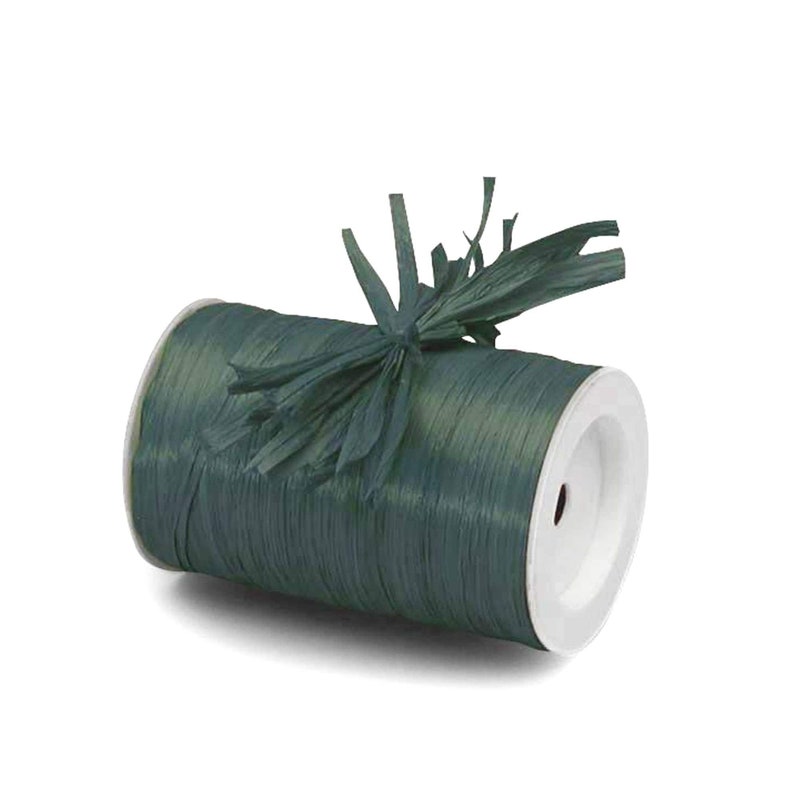 Raffia Ribbon - Etsy