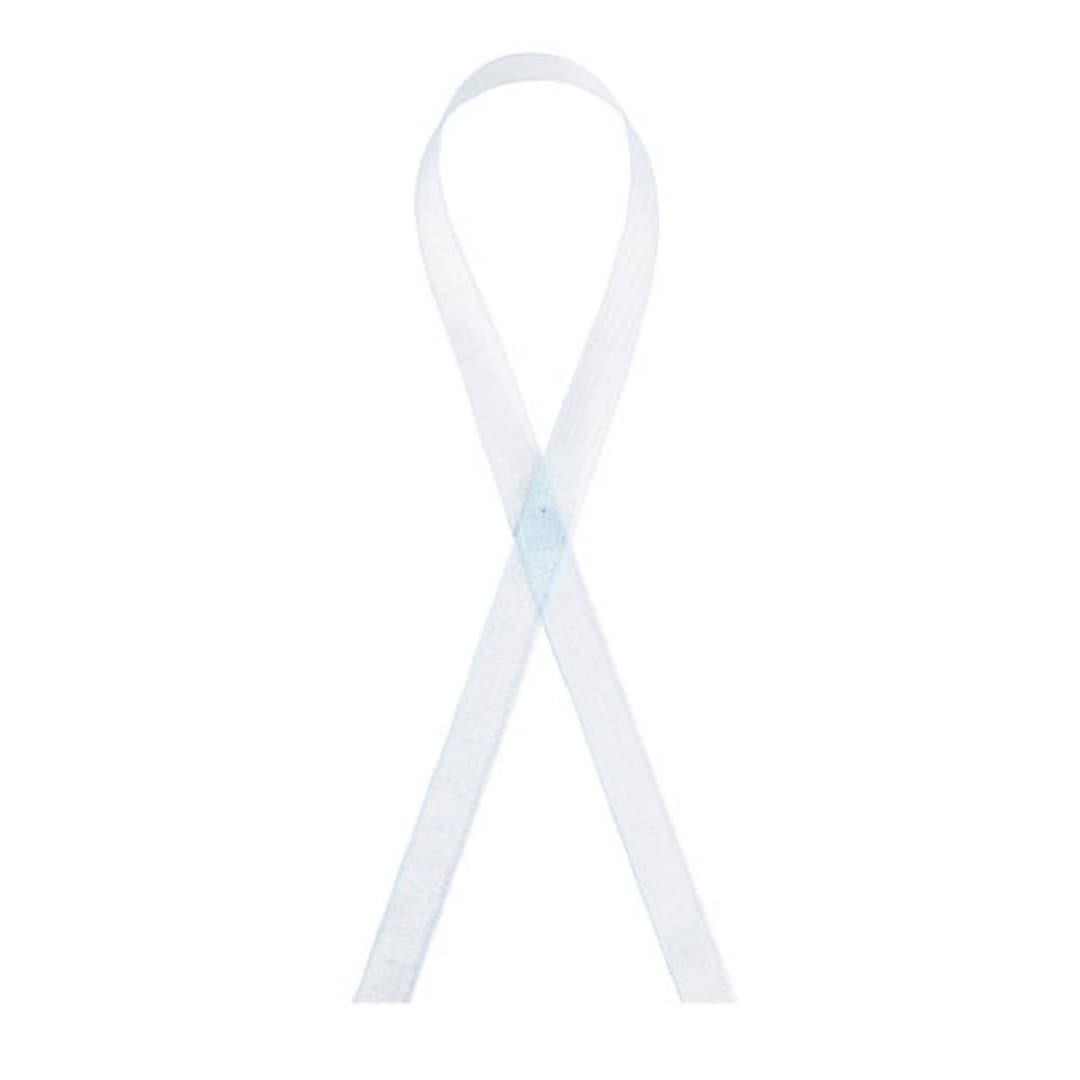Light Blue Ribbon | Blue Organza Ribbons | Sheer Blue Ribbon