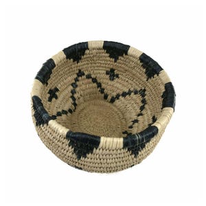 Basketry Kit | MYO Basket Kit | Traditional Coiled Basket Weaving Kit - Expanded - Three Rod - Makes a 4-6in. Basket (wckcoiledexp)