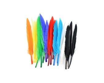 36 Assorted 20cm Quill Feathers for Crafts 