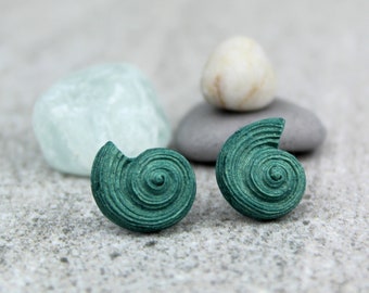 May include: A pair of teal green shell-shaped earrings. The earrings are made of a textured material and have a spiral design.