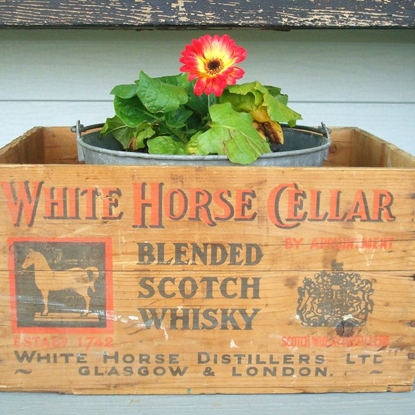RE:claimed Vintage White Horse Cellar Blended Scotch Whisky Wood Wooden Crate
