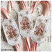 In the Hoop Frosted Christmas Cookies Candy Cane Slider Machine Embroidery Instant Download Design