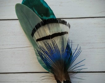 Feather Hair Clip, Blue, Teal, Green, Black & White Feathers, Black Ribbon Lined Hair Clip