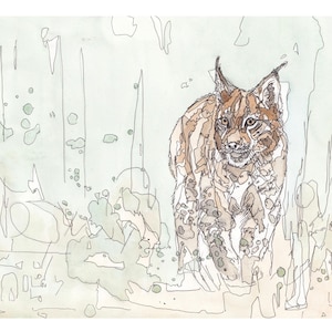 The Lynx And The Grass Giclee Art Print Open Edition Wildlife Animal Art
