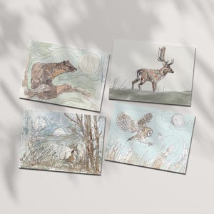 Paquet de 4, 8, 12 cartes de voeux sur la faune, paquets de cartes d'animaux, emballage multiple, cartes neutres sur le thème de la faune, cerf, écureuil, chouette effraie des cloches, martre