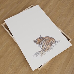 Sleepy Fox Giclee Art Print Open Edition Wildlife Animal Art