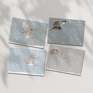 4, 8, 12 confezioni di biglietti di Natale misti con gufo, confezioni di biglietti di Natale, biglietti stagionali misti, multipack, biglietti a tema invernale neutro con natura e fauna selvatica