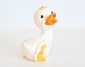 ernie's rubber duckie