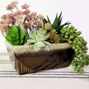 May include: A brown and white glazed ceramic planter with a textured surface. The planter is filled with a variety of succulents, including green, pink, and white varieties.