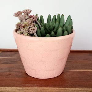 May include: A pink speckled ceramic pot filled with two types of succulents. One succulent has green, finger-like leaves, and the other has layered, reddish-brown leaves. The pot sits on a wooden surface against a white background.