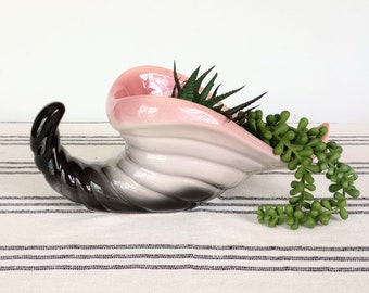 Vase en corne d'abondance en poterie de Hull, pot de fleurs de cactus succulent