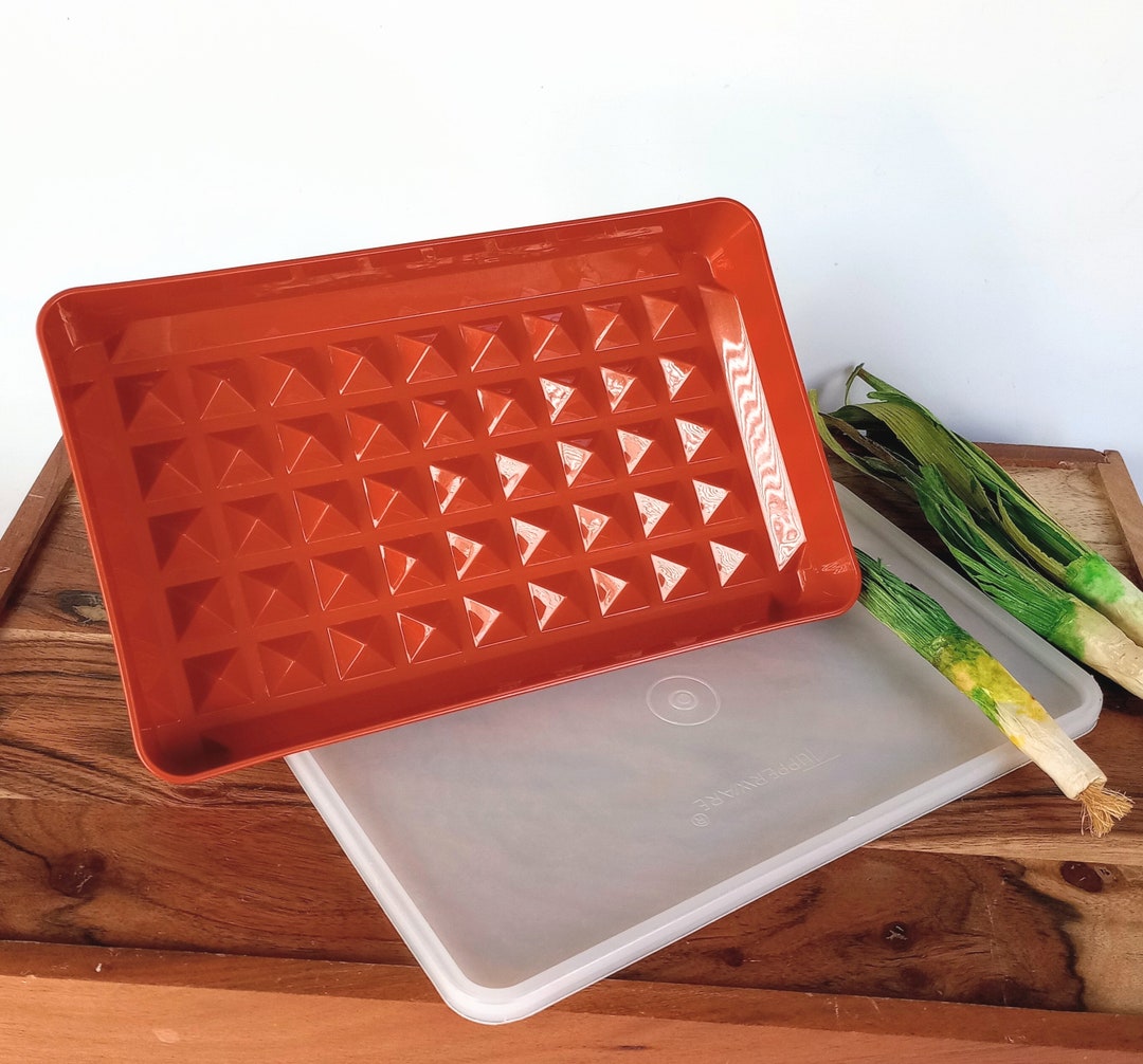 Tupperware Bacon Keeper Deli Meat Container Cold Cut Hot Dog Holder