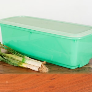 May include: A rectangular, light green plastic food storage container with a white lid. Fresh green onions rest on a wooden surface in front of the container. The container is designed for kitchen use.