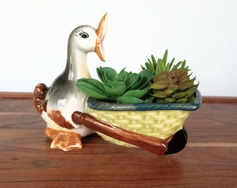 Jardinière en forme de canard, pot de cactus succulent, brouette, cadeau amusant pour maman jardinière