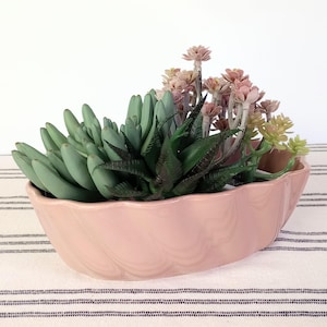 May include: A pink ceramic planter filled with assorted succulents. The planter has a scalloped edge and a curved shape. The succulents are various shades of green, with some featuring reddish-brown tips. The arrangement sits on a striped fabric.