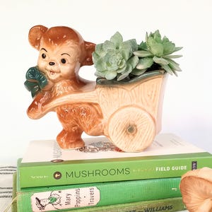 May include: A ceramic bear figurine pulling a wooden cart planter filled with green succulents. The bear is brown with a green bow. The planter is tan with a wooden wheel design. The figurine is on top of a stack of green books.