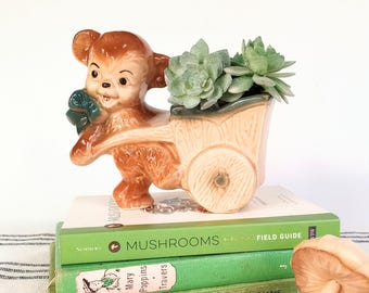 Jardinière vintage en forme d'ours, petit chariot, petit pot de cactus succulent, jardin d'herbes aromatiques