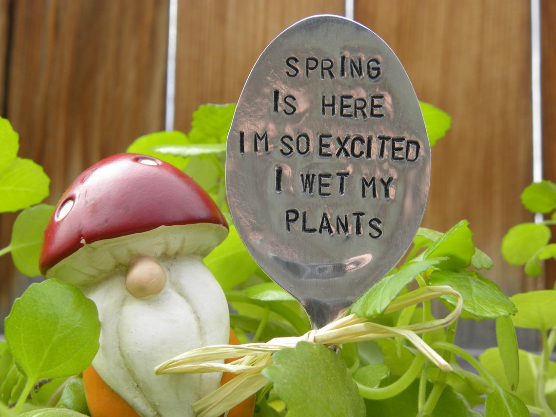 Spring is here I'm so excited I wet my plants garden pick Etsy