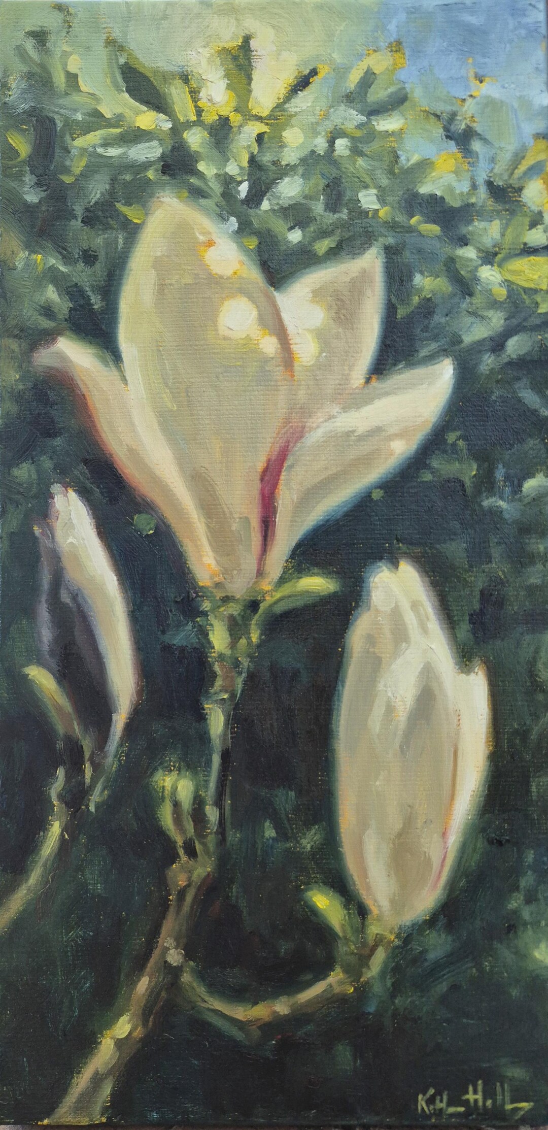 Magnolia in Bloom Original White Flower Still Life Oil Painting 6x12 ...