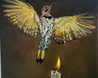 Flicker, original bird and candle oil painting, animal and fire canvas impressionist study handmade gift yellow shafted flicker warm light