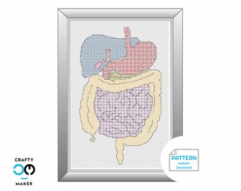 Anatomical Digestive Tract Cross Stitch Pattern | Anatomical Cross Stitch | Cross Stitch Project | Gastroenterologist Gift