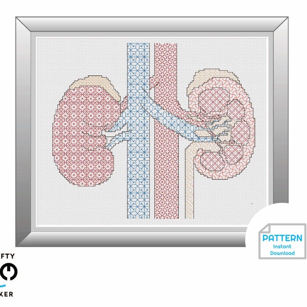 Kidney Cross Stitch Pattern Etsy