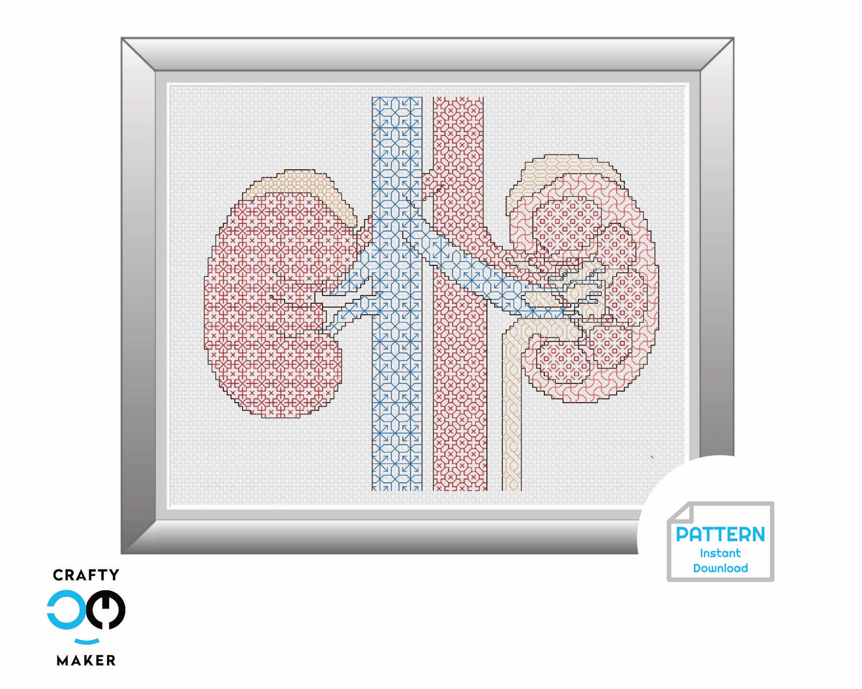 Anatomical Kidney Cross Stitch Pattern Kidneys Cross Stitch Etsy