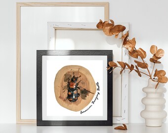 Puede incluir: Una impresión enmarcada de una pintura de acuarela de un escarabajo enterrador americano en una rodaja de madera. El escarabajo es negro con marcas naranjas y tiene antenas largas. El texto "American Burying Beetle" está escrito en cursiva negra sobre la madera.