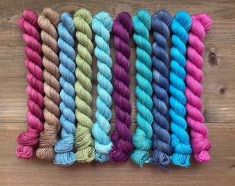 Hand Dyed Yarn | The Vineyard Collection | Mini Skein Sets | Approx 20 g