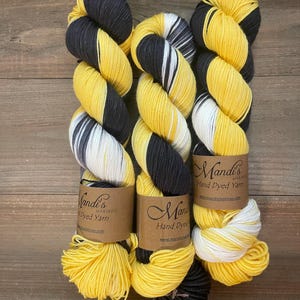 December 2024 | Anti Trafficking Monthly Club | Hand Dyed Yarn | Full Skein | Fingering and DK Weight