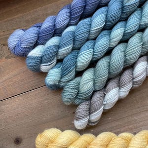 Mix n Match Mini Mania | Hand Dyed Yarn | 75/25 Fingering Weight Skeins | 2 ply Mini Skeins (20 g)
