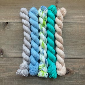 Hand Dyed Yarn | One of a Kind #1 | Mini Skein Sets | Approx 20 g
