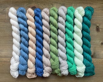 Juego de mini madejas único en su tipo / 46 yardas cada una / Aprox. 20 g cada una / Hilo de grosor DK
