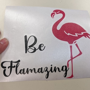 Be Flamazing Flamingo