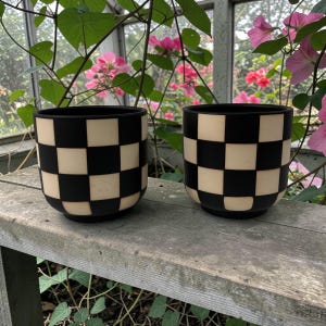 May include: Two black and cream checkered ceramic planters sit on a weathered wooden surface. The planters have a rounded shape and a glossy finish. The background features greenery and pink flowers, suggesting an outdoor or greenhouse setting.