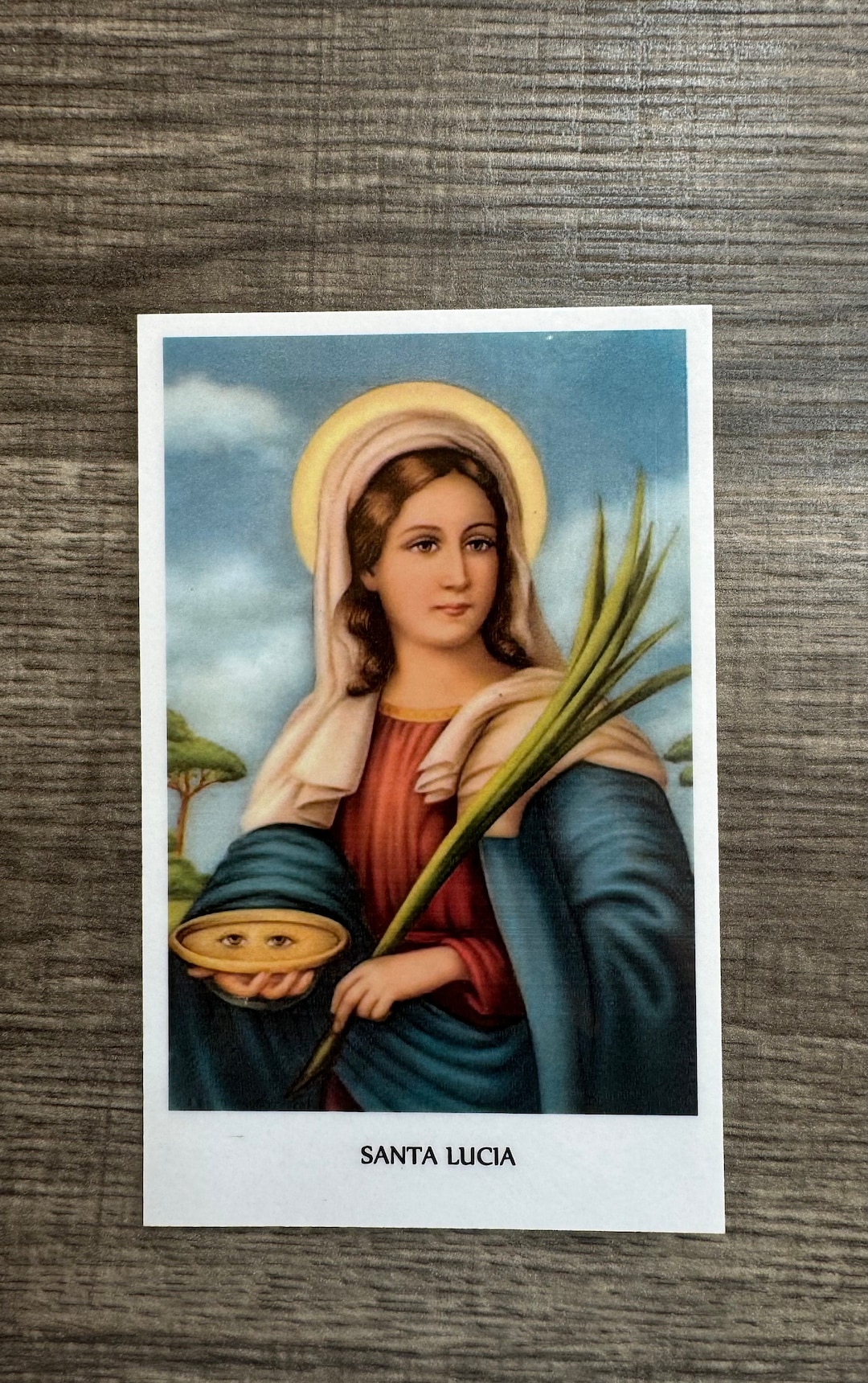 Santa Lucia Bilingual Prayer Card With Magnetic Sleeve - English/Spanish Religious Card