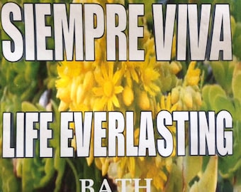 Siempre Viva Everlasting life dry plant herb bath  1oz dry plant bath aromatic