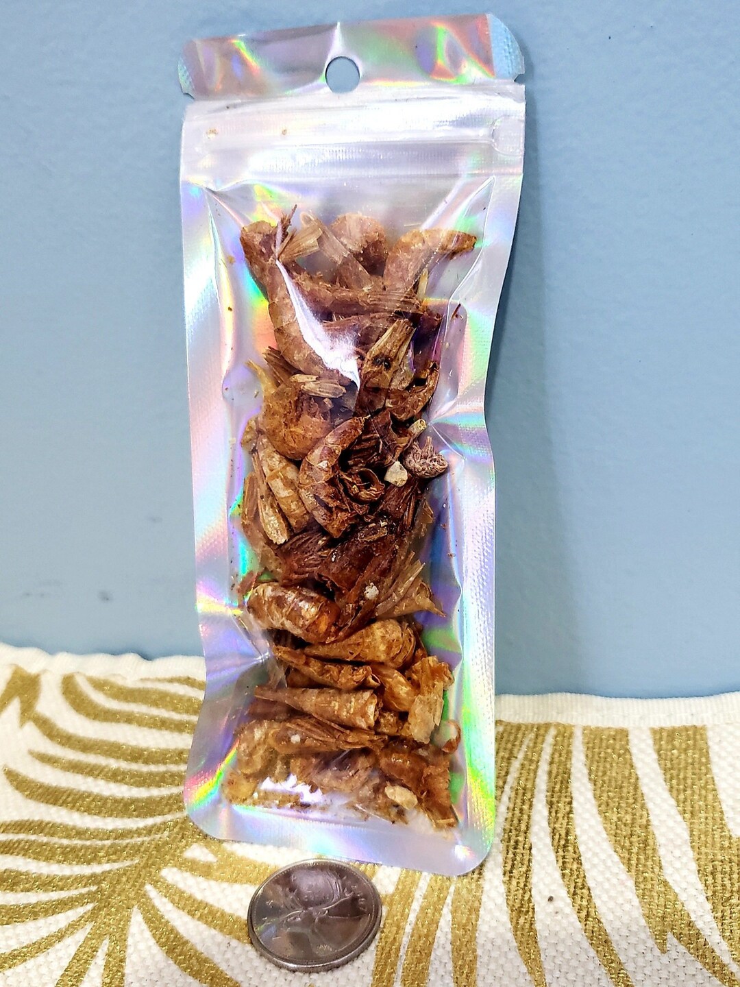 Sundried Red Shrimp Protein Source for Isopods, Snails, Hermit Crabs, Reptiles Etsy