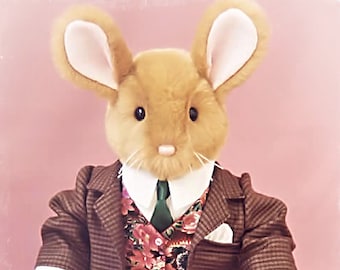 PDF - Benjamin Rabbit Pattern