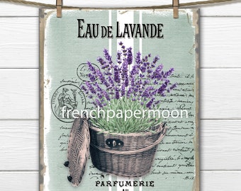 French Lavender, Digital, Farmhouse Lavender Basket, French Country Lavender, Lavender Home Decor, Image Transfer, Digital Download, PNG