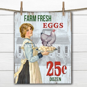 Oeufs frais de ferme minable numérique, style vintage, graphiques anciens, impression de poulet poule de ferme de cuisine, image de transfert en téléchargement immédiat