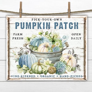 Może przedstawiać: Tablica w stylu vintage z tekstem "PICK-YOUR-OWN PUMPKIN PATCH" w niebieskich i białych literach. Tablica ma rustykalne białe tło z fakturą postarzanego drewna. Metalowy kubeł przepełniony niebieskimi, zielonymi i białymi dyniami jest otoczony jesiennymi liśćmi i kwiatami. Tekst "FARM FRESH" znajduje się w lewym górnym rogu, a "OPEN DAILY" w prawym górnym rogu. Dolna część tablicy głosi "VINE-RIPENED ORGANIC HAND-PICKED".
