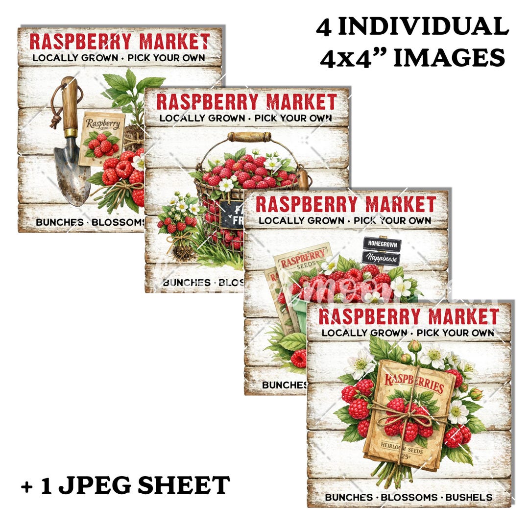 Raspberry Market Set of 4, Summer Fruit Craft Design, Decoupage, Tiered ...