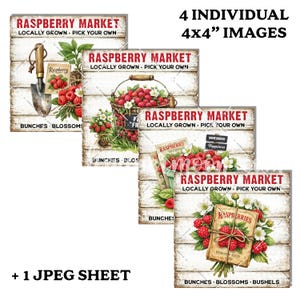 May include: Four 4x4 inch images with a rustic theme. Each image features the text "Raspberry Market" and "Locally Grown - Pick Your Own". The images depict raspberries, flowers, and gardening tools on a weathered wood background.