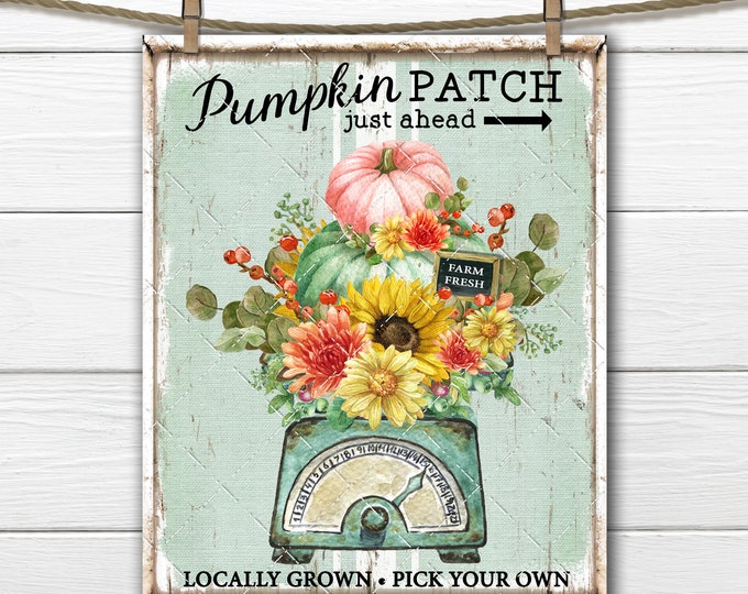 Pumpkin Patch, Floral Pumpkins, Pumpkin Scale, DIY Autumn Sign, Fabric Transfer, Tiered Tray Decor, Digital Print, U Print, Kitchen Decor